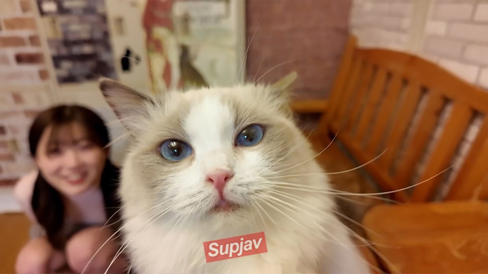 FC2PPV 4511406 1490pt Until The 9th!!! *Too Cute, Super Rare – She’s Crazy About The Cats On A Cat Cafe Date "So Cute…", And After The Date, She Was Crazy About My Dick Too – A Secret Between The Two Of Us