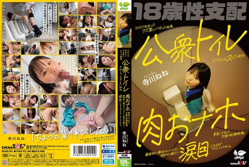 SDAB-341 This 18-Year-Old Gets Hooked On A Scumbag She Met On Social Media And Ends Up Being Used As A Flesh Slave For Quick Jerks In Public Restrooms. He Ends Up Using Her As He Pleases, Until He’s Fully Moaning With Her. Nene Terakawa